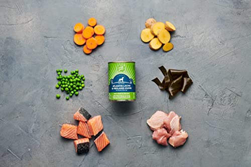 Irish Pure Premium Nassfutter für Hunde | 12x 390g | Atlantik-Lachs | Vitamine | Getreidefrei | Sensitiv | mit Superfood Kelp-Alge | Nassfutter für alle Rassen