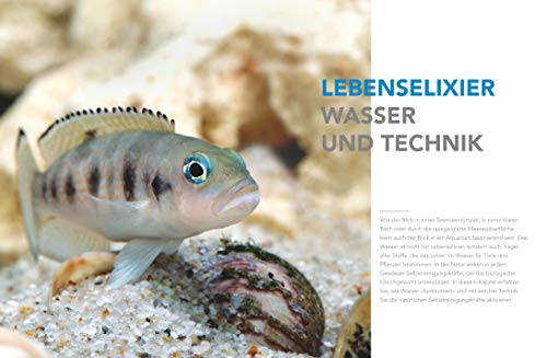 Praxishandbuch Aquarium: Mit über 400 Fischarten, Amphibien und Wirbellosen im Porträt. Der Bestseller jetzt komplett neu überarbeitet (GU Aquarium)