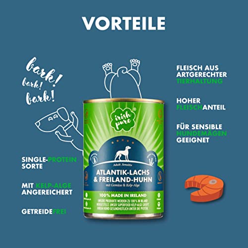 Irish Pure Premium Nassfutter für Hunde | 12x 390g | Atlantik-Lachs | Vitamine | Getreidefrei | Sensitiv | mit Superfood Kelp-Alge | Nassfutter für alle Rassen