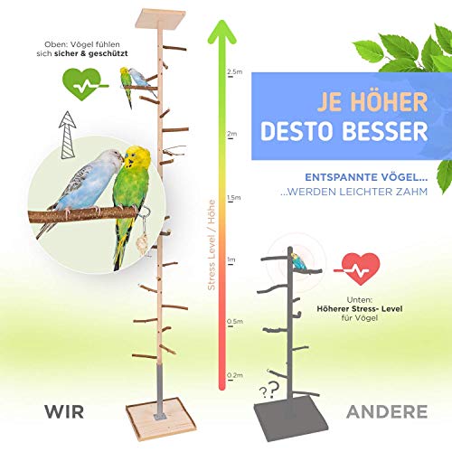 Zimmerhoher Vogel-Kletterbaum 190-192 cm HiFly Medio mit Naturholz-Sitzstangen, Vogel-Spielzeug, Vogelschaukel. Vogelspielplatz, Freiflug Landeplatz für Wellensittich, Nymphensittich & Co.