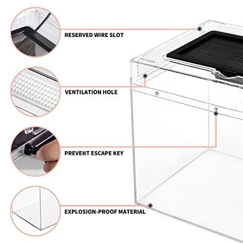 Reptile Growth Terrarium Komplettset, 20" x 10"x 11" Faunarium für,Schnecken,Insekten,Wasserschildkröten，Vogelspinnen,Springspinne,Leopard Gecko,Bärtiger Drache ，Frosch,Aquarium,Einsiedlerkrebs