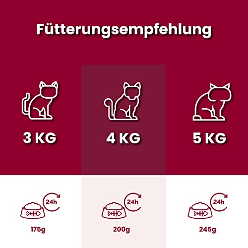 Animonda Carny Adult Katzenfutter, Nassfutter für ausgewachsene Katzen, Herzhafte Variation , 12 x 400 g