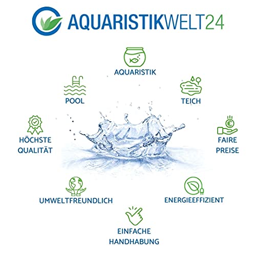 AquaOne Aquarium Pflanze 3 Stück Eleocharis parvula I Wasserpflanze Aquariumpflanze Bodendecker voll durchwurzelt einfach pflegeleicht Aquascaping Dekoration