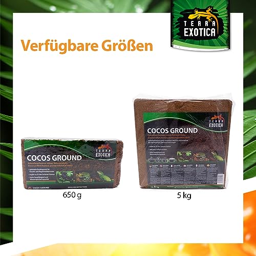 Terra Exotica Cocos Ground 10x 650 g - Kokoshumus für Terrarien - Einstreu für Amphibien, Reptilien und Wirbellose - Humusziegel Bodengrund - gepresste Blumenerde aus Kokosfaserhumus