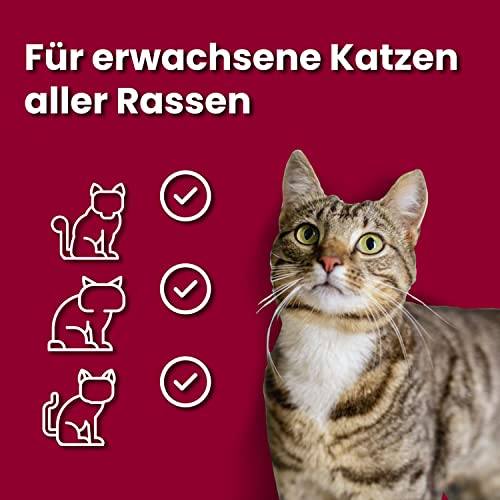 Animonda Carny Adult Katzenfutter, Nassfutter für ausgewachsene Katzen, Herzhafte Variation , 12 x 400 g