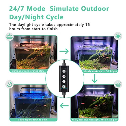 hygger Clip On 24/7 Beleuchtung Aquarium LED-Licht, 14 W Sunrise-Daylight-Moonlight-Modus und DIY-Modus, Einstellbarer Timer, einstellbare Helligkeit, Aquarium-Licht mit 7 Farben für bepflanzte Tanks