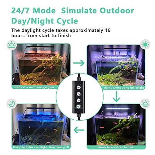 hygger Clip On 24/7 Beleuchtung Aquarium LED-Licht, 14 W Sunrise-Daylight-Moonlight-Modus und DIY-Modus, Einstellbarer Timer, einstellbare Helligkeit, Aquarium-Licht mit 7 Farben für bepflanzte Tanks