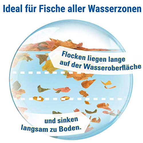 TetraMin XL Flakes - Fischfutter in Flockenform für größere Zierfische, ausgewogene Mischung für gesunde Fische und klares Wasser, 1 L Dose