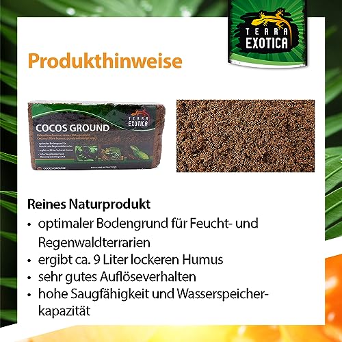 Terra Exotica Cocos Ground 10x 650 g - Kokoshumus für Terrarien - Einstreu für Amphibien, Reptilien und Wirbellose - Humusziegel Bodengrund - gepresste Blumenerde aus Kokosfaserhumus