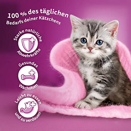 Whiskas Junior Katzennassfutter Geflügel Auswahl in Gelee, 84 Portionsbeutel, 84x85g (1 Großpackung) – Hochwertiges Katzenfutter nass, für heranwachsende Katzen von 2 bis 12 Monaten