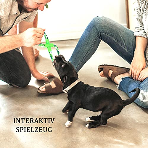 Hundespielzeug für Welpen, 8 Packungen, Hundespielzeug, Seil, Ball, Frisbee, langlebig, für kleine bis mittelgroße Hunde, interaktive Spiele (Green8)