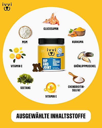 ivvi Hip & Joint - hochkonzentrierte Gelenktabletten für Hunde als Leckerli mit Grünlippmuschel Hund, Glucosamin, Chondroitin & MSM - 60 leckere Snacks (270g) mit Huhn