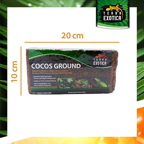 Terra Exotica Cocos Ground 10x 650 g - Kokoshumus für Terrarien - Einstreu für Amphibien, Reptilien und Wirbellose - Humusziegel Bodengrund - gepresste Blumenerde aus Kokosfaserhumus