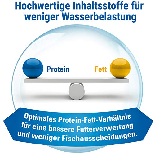 TetraMin XL Flakes - Fischfutter in Flockenform für größere Zierfische, ausgewogene Mischung für gesunde Fische und klares Wasser, 1 L Dose