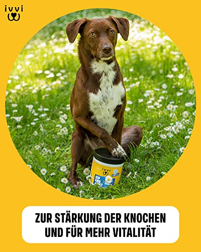 ivvi Hip & Joint - hochkonzentrierte Gelenktabletten für Hunde als Leckerli mit Grünlippmuschel Hund, Glucosamin, Chondroitin & MSM - 60 leckere Snacks (270g) mit Huhn