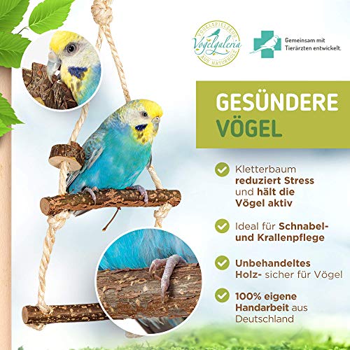 Zimmerhoher Vogel-Kletterbaum 190-192 cm HiFly Medio mit Naturholz-Sitzstangen, Vogel-Spielzeug, Vogelschaukel. Vogelspielplatz, Freiflug Landeplatz für Wellensittich, Nymphensittich & Co.