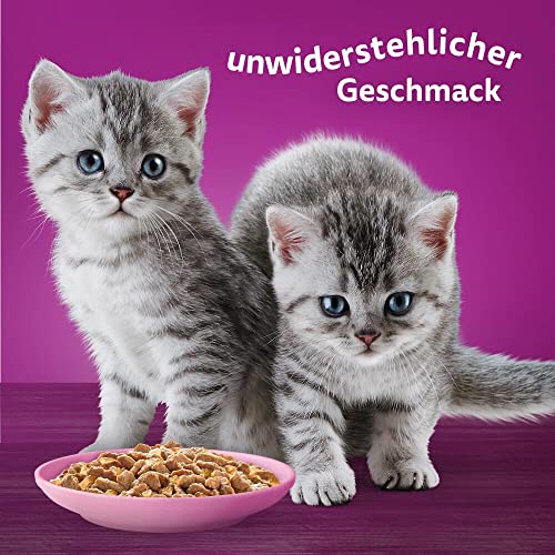 Whiskas Junior Katzennassfutter Geflügel Auswahl in Gelee, 84 Portionsbeutel, 84x85g (1 Großpackung) – Hochwertiges Katzenfutter nass, für heranwachsende Katzen von 2 bis 12 Monaten