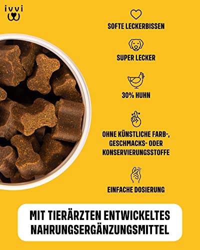 ivvi Hip & Joint - hochkonzentrierte Gelenktabletten für Hunde als Leckerli mit Grünlippmuschel Hund, Glucosamin, Chondroitin & MSM - 60 leckere Snacks (270g) mit Huhn