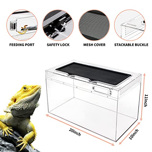 Reptile Growth Terrarium Komplettset, 20" x 10"x 11" Faunarium für,Schnecken,Insekten,Wasserschildkröten，Vogelspinnen,Springspinne,Leopard Gecko,Bärtiger Drache ，Frosch,Aquarium,Einsiedlerkrebs