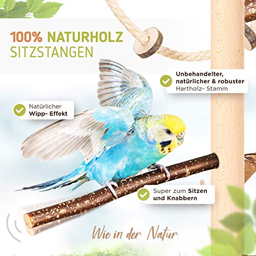 Zimmerhoher Vogel-Kletterbaum 190-192 cm HiFly Medio mit Naturholz-Sitzstangen, Vogel-Spielzeug, Vogelschaukel. Vogelspielplatz, Freiflug Landeplatz für Wellensittich, Nymphensittich & Co.