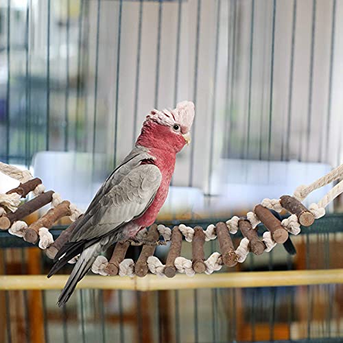 TAECOOOL 8-teiliges Holzpapageienspielzeug, Papageienvogelkauen Naturholz Hängende Glocke Vogelkäfig Schaukelspielzeug Geeignet für Nymphensittich, Finken, kleine Sittiche, Wellensittich