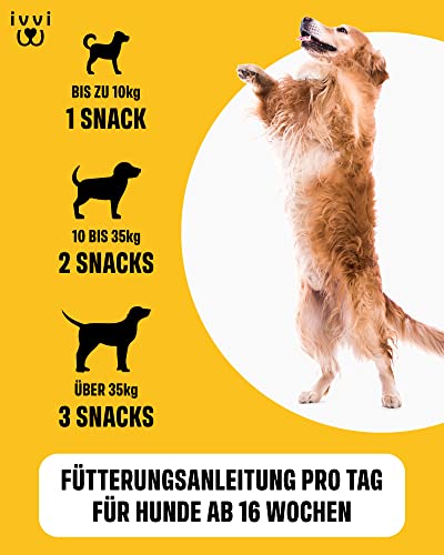 ivvi Hip & Joint - hochkonzentrierte Gelenktabletten für Hunde als Leckerli mit Grünlippmuschel Hund, Glucosamin, Chondroitin & MSM - 60 leckere Snacks (270g) mit Huhn