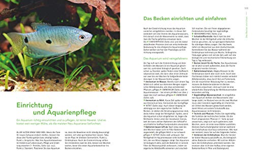 Praxishandbuch Aquarium: Mit über 400 Fischarten, Amphibien und Wirbellosen im Porträt. Der Bestseller jetzt komplett neu überarbeitet (GU Aquarium)