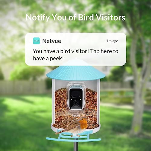 NETVUE Vogelhaus mit Kamera, Vogelfutterstation, Futterstationen für Wildvögel, Vogelfutterhaus mit Video Aufnehmen, Vogelhäuschen mit Kamera, Vogelfutterspender Vögel Erkennung (Lite Birdfy+Solar)