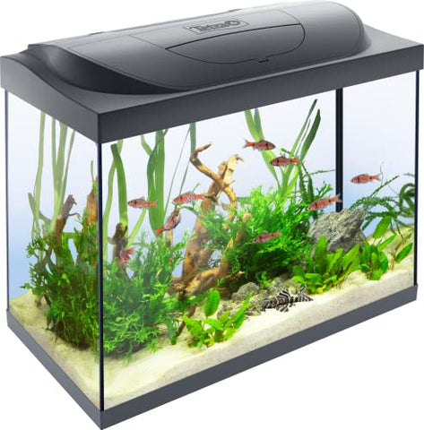 Tetra Starter Line 80 L Aquarium Komplett-Set - inkl. Tag- & Nachtlicht LED-Beleuchtung, Innenfilter, Heizer,Wasseraufbereiter