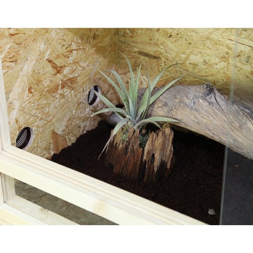 REPITERRA Terrarium für Reptilien & Amphibien, Holzterrarium mit Seitenbelüftung 120x60x60 cm