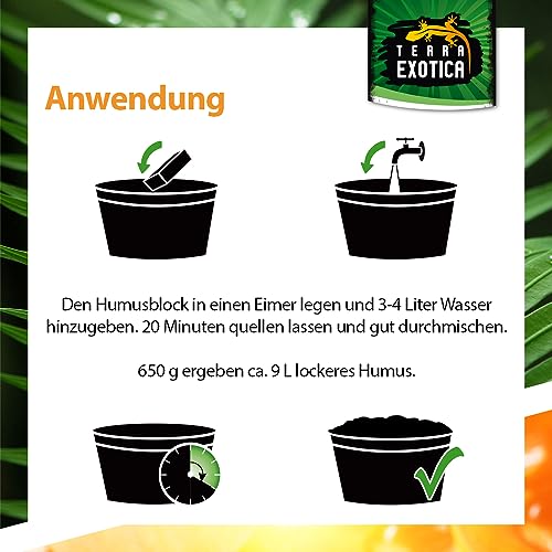 Terra Exotica Cocos Ground 10x 650 g - Kokoshumus für Terrarien - Einstreu für Amphibien, Reptilien und Wirbellose - Humusziegel Bodengrund - gepresste Blumenerde aus Kokosfaserhumus