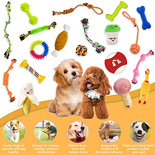 Hundespielzeug,MAISITOO 19 Pcs Seil Ball Hunde robuste Zähne Kauen langlebig Spielzeug Zahntraining Set Für Kleine große mittelgroßen Hund Interaktives Spielset Unzerstoerbar BaumwollknotenTau Tier