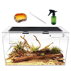 Reptile Growth Terrarium Komplettset, 20" x 10"x 11" Faunarium für,Schnecken,Insekten,Wasserschildkröten，Vogelspinnen,Springspinne,Leopard Gecko,Bärtiger Drache ，Frosch,Aquarium,Einsiedlerkrebs