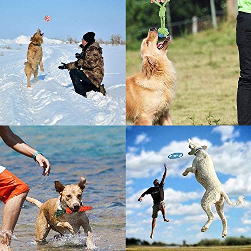 Hundespielzeug für Welpen, 8 Packungen, Hundespielzeug, Seil, Ball, Frisbee, langlebig, für kleine bis mittelgroße Hunde, interaktive Spiele (Green8)