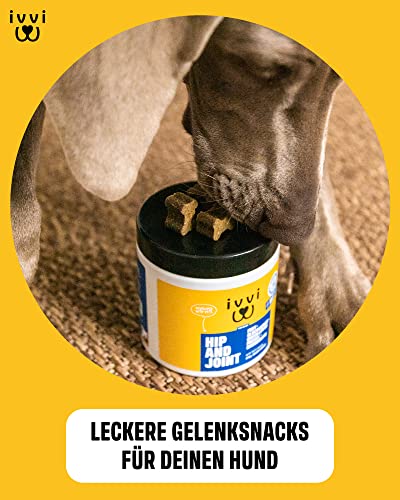 ivvi Hip & Joint - hochkonzentrierte Gelenktabletten für Hunde als Leckerli mit Grünlippmuschel Hund, Glucosamin, Chondroitin & MSM - 60 leckere Snacks (270g) mit Huhn