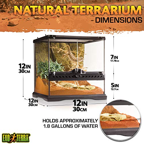 Exo Terra Terrarium aus Glas, mit einzigartiger Front Belüftung, 30 x 30 x 30cm