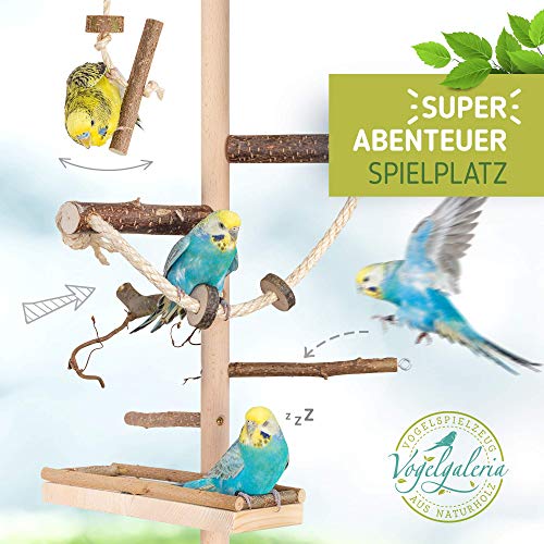 Zimmerhoher Vogel-Kletterbaum 190-192 cm HiFly Medio mit Naturholz-Sitzstangen, Vogel-Spielzeug, Vogelschaukel. Vogelspielplatz, Freiflug Landeplatz für Wellensittich, Nymphensittich & Co.