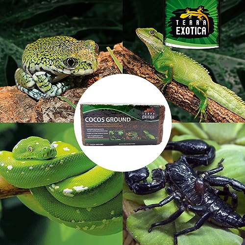 Terra Exotica Cocos Ground 10x 650 g - Kokoshumus für Terrarien - Einstreu für Amphibien, Reptilien und Wirbellose - Humusziegel Bodengrund - gepresste Blumenerde aus Kokosfaserhumus