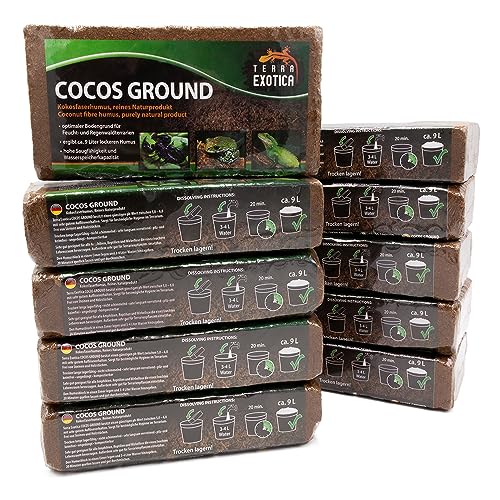 Terra Exotica Cocos Ground 10x 650 g - Kokoshumus für Terrarien - Einstreu für Amphibien, Reptilien und Wirbellose - Humusziegel Bodengrund - gepresste Blumenerde aus Kokosfaserhumus