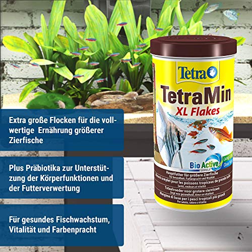 TetraMin XL Flakes - Fischfutter in Flockenform für größere Zierfische, ausgewogene Mischung für gesunde Fische und klares Wasser, 1 L Dose